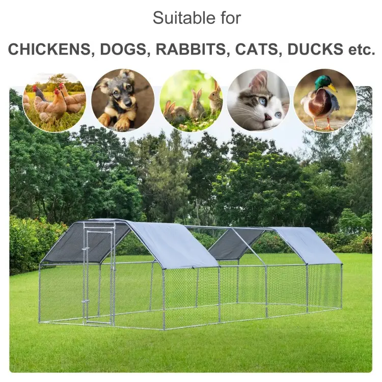 Factory supply  wild outdoor chicken house poultry garden greenhouse