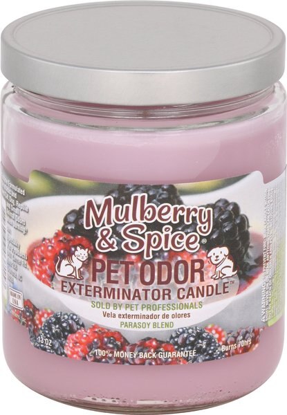 Pet Odor Exterminator Mulberry and Spice Deodorizing Candle