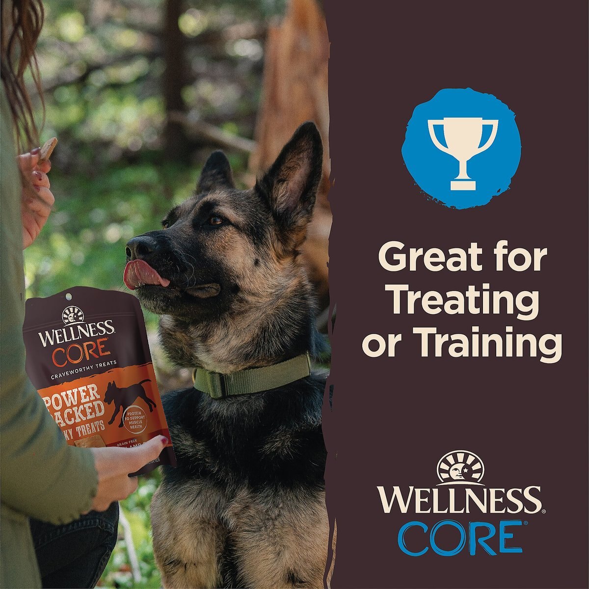 Wellness CORE Power Packed Venison Grain-Free Jerky Dog Treats