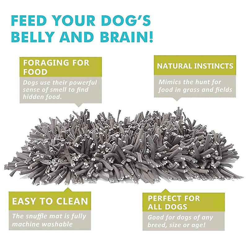 Fun anti slip safe dog snuffle mat