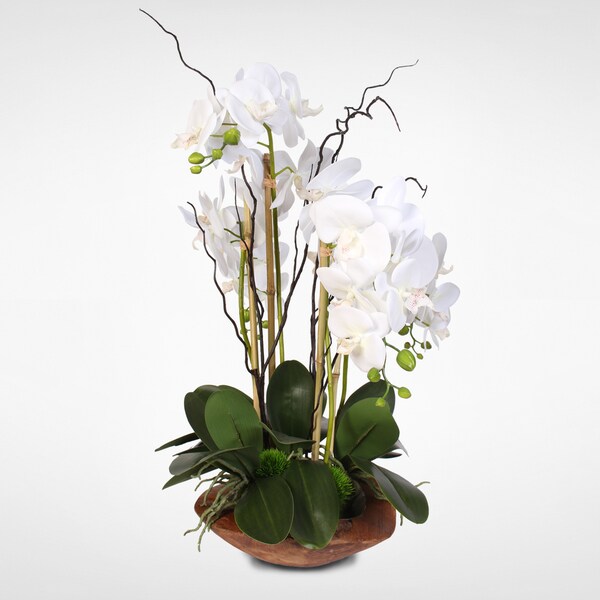 Real Touch Phalaenopsis Silk Orchid Arrangement with Curly Willow in Natural Teak Wood Bowl