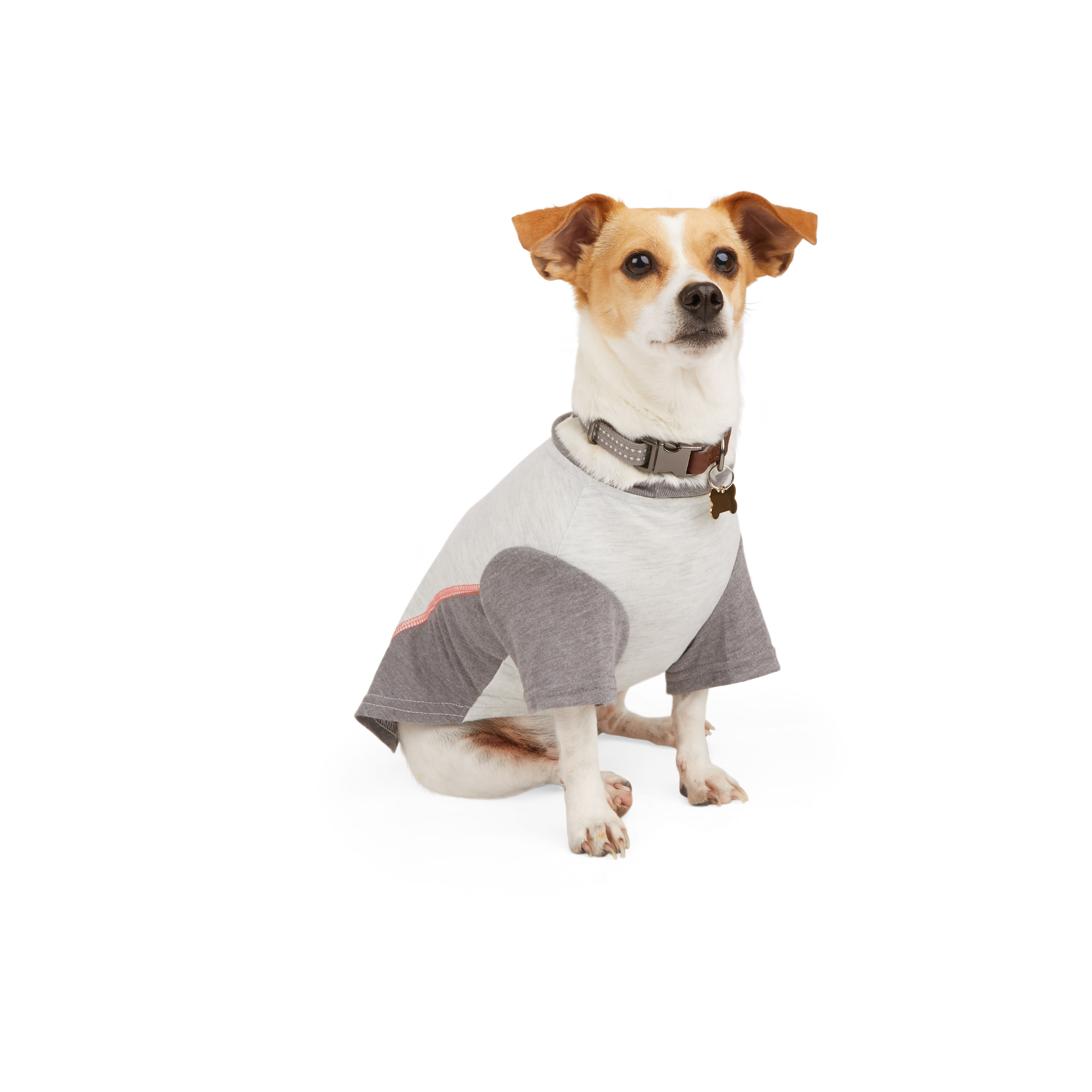 Reddy Grey Cooling Tonal Dog Tee， X-Small