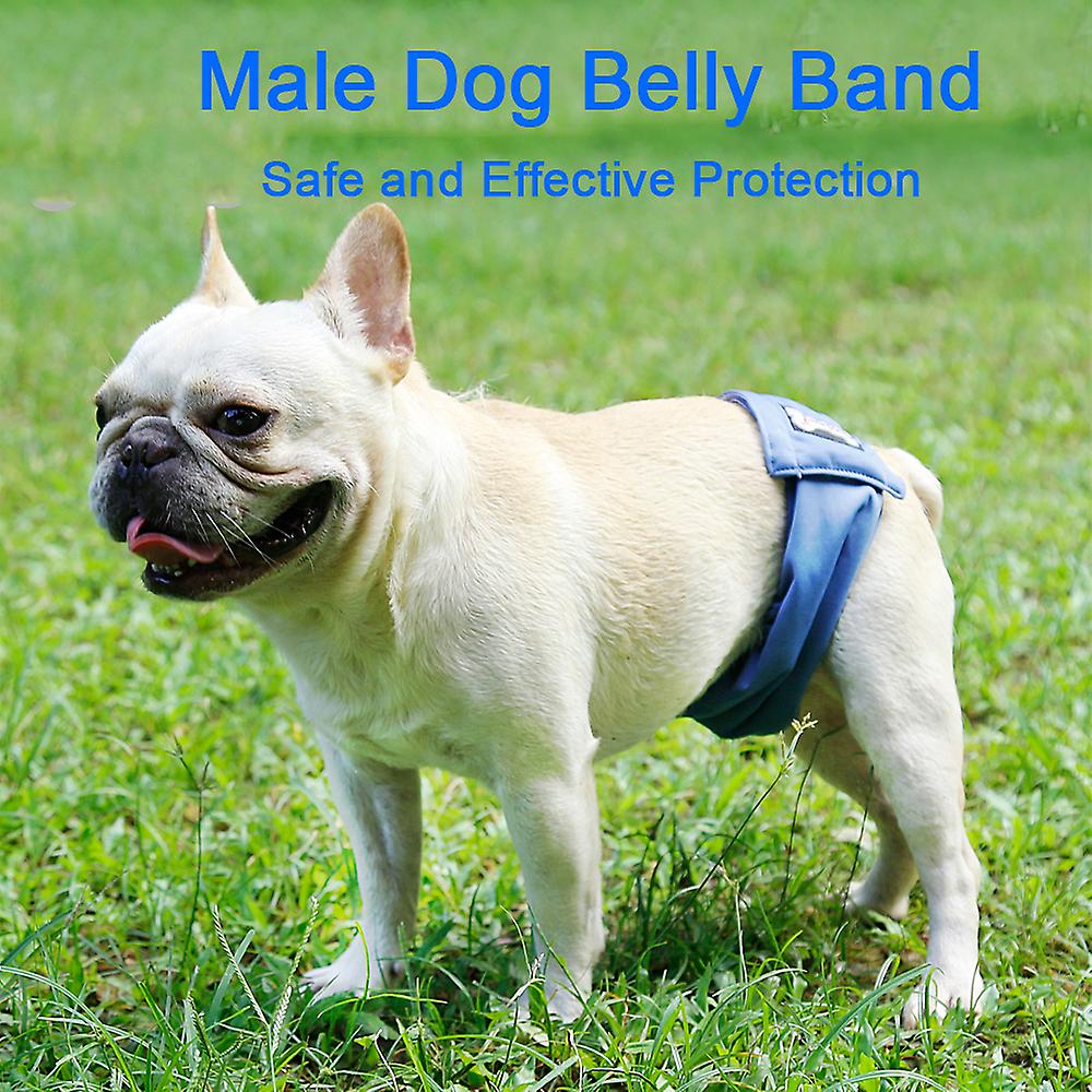 Male Dog Belly Band Pet Diaper Washable Wrap Waterproof Toilet Training Dog Physiological Pant Blue Xxl