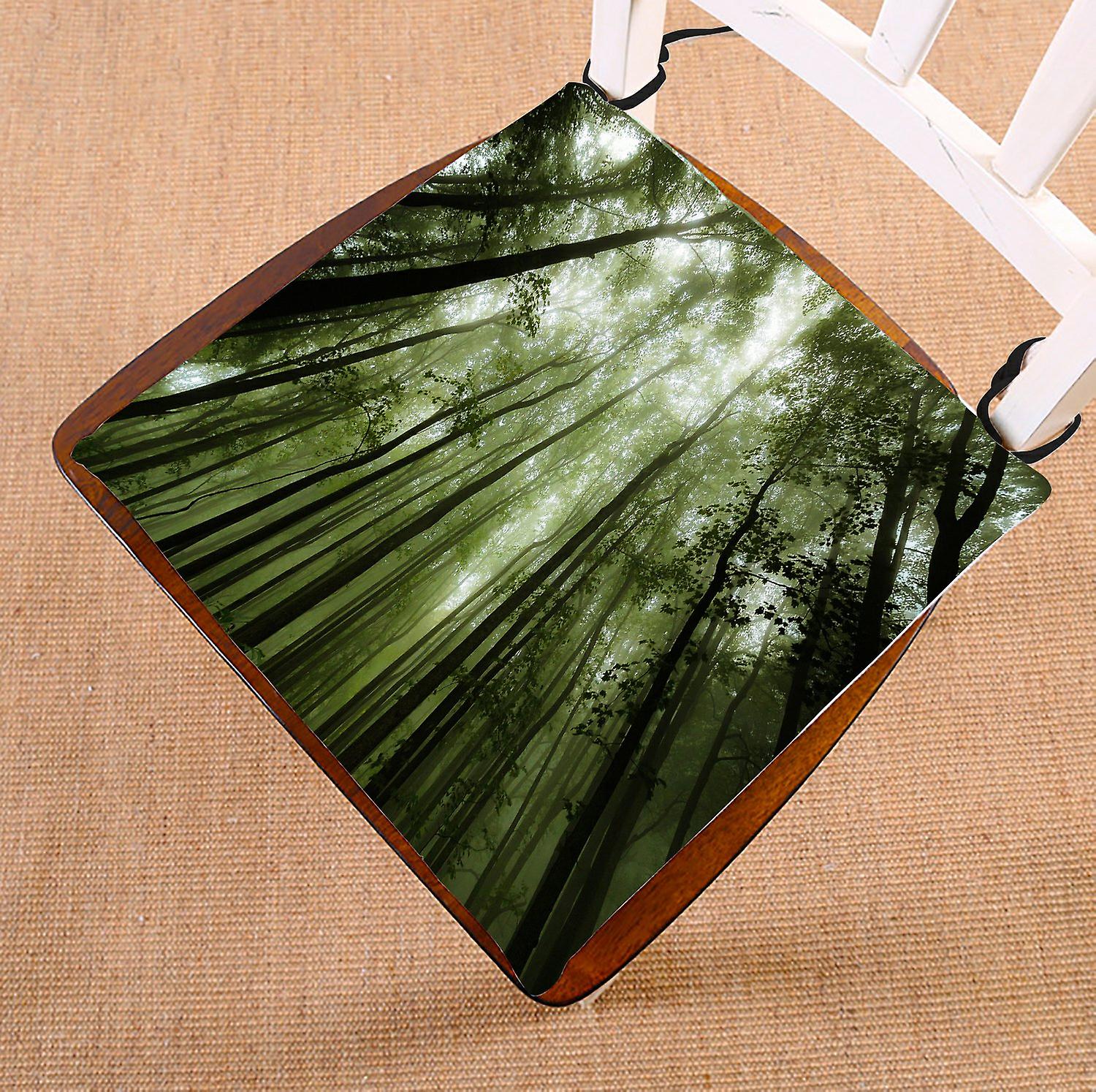 Landscape Nature Scenery Chair Pad， Foggy Forest Of Shenandoah Seat Cushion Chair Cushion Floor Cushion 50x50 Cm