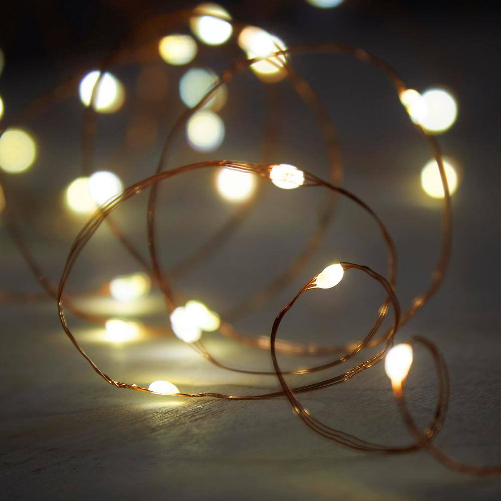 Hampton Bay OutdoorIndoor 33 ft. 3 AA Battery Operated Copper Wire LED Fairy String Light Color Changing EY01-C100-A1