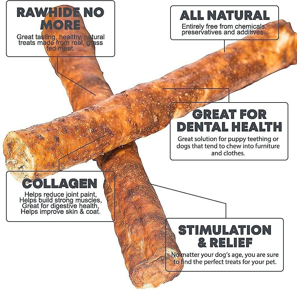 HOTSPOT PETS Rawhide Alternative Beef Flavored Collagen Rolls Dog Chew Treats， 10-in