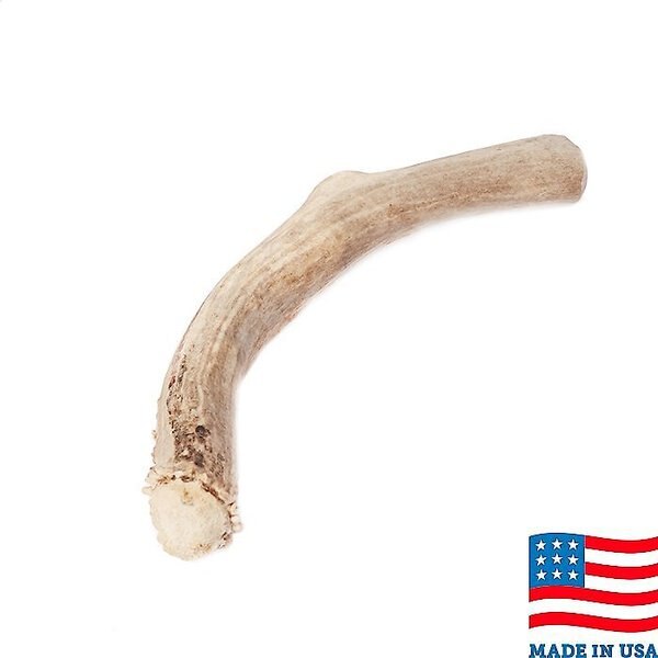 Bones and Chews Made in USA Deer Antler Dog Chew， 10.5 - 11.5-in， XX-Large