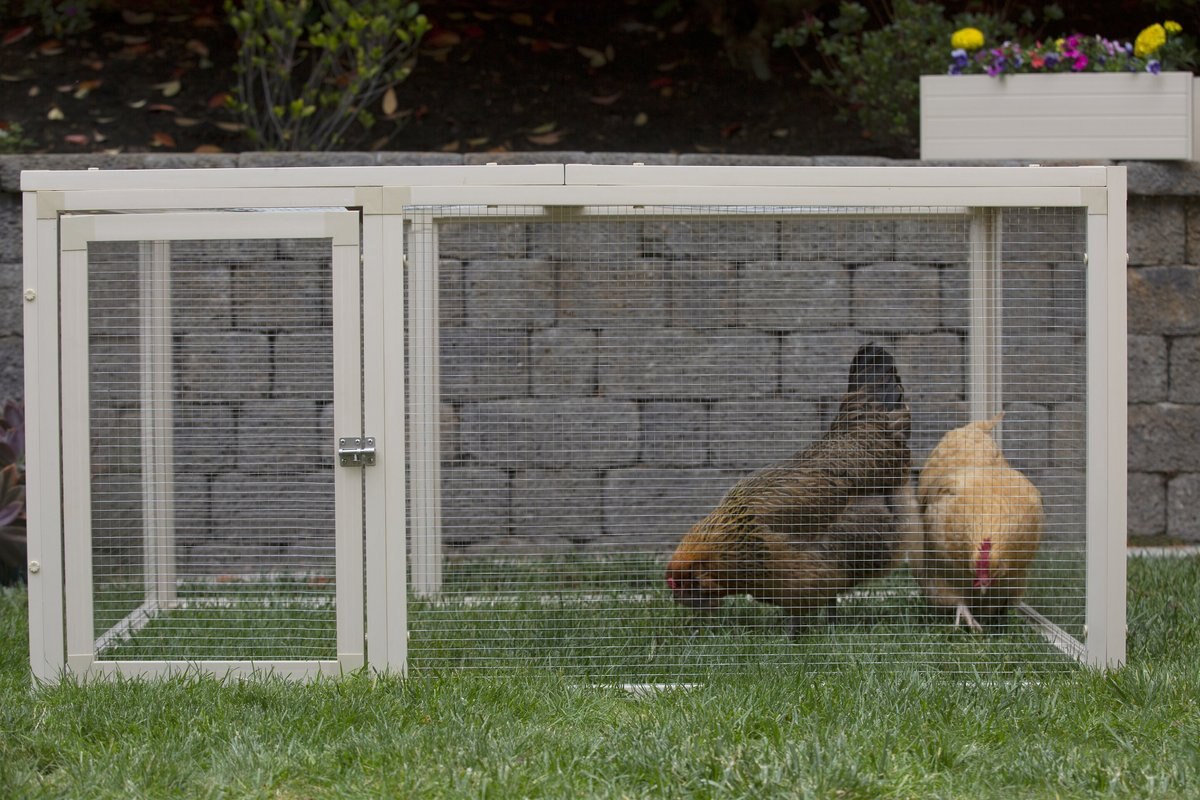 New Age Pet Jumbo Fontana Chicken Pen