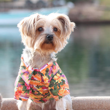 Doggie Design Sunset Hibiscus Hawaiian Camp Shirt andndash; Pet Empire and Supplies