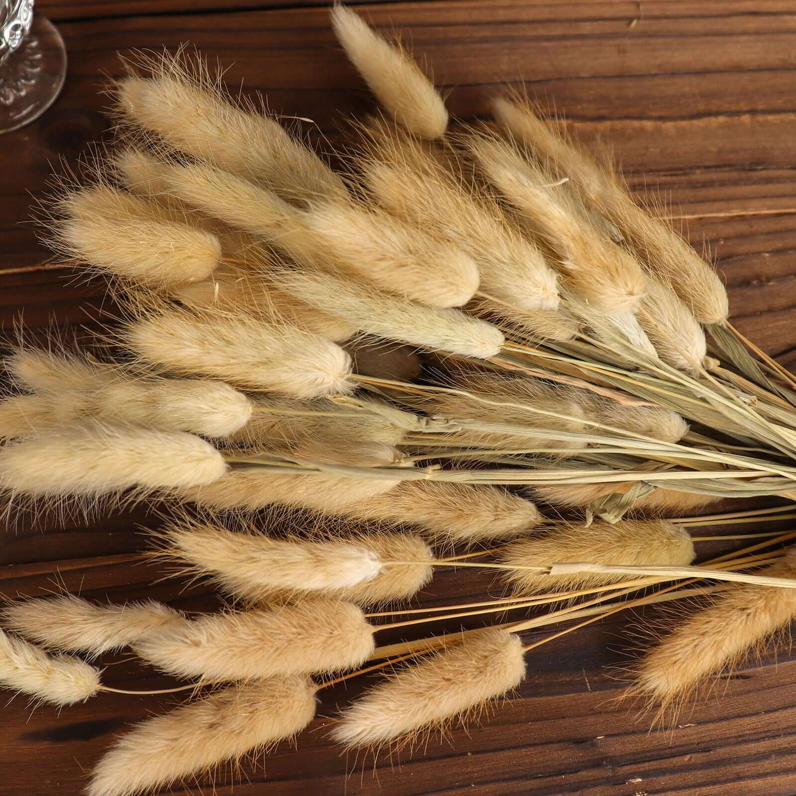 50 Pack Natural Rabbit Tail Dried Pampas Grass Flower Bouquets, Boho Stem Arrangements 15