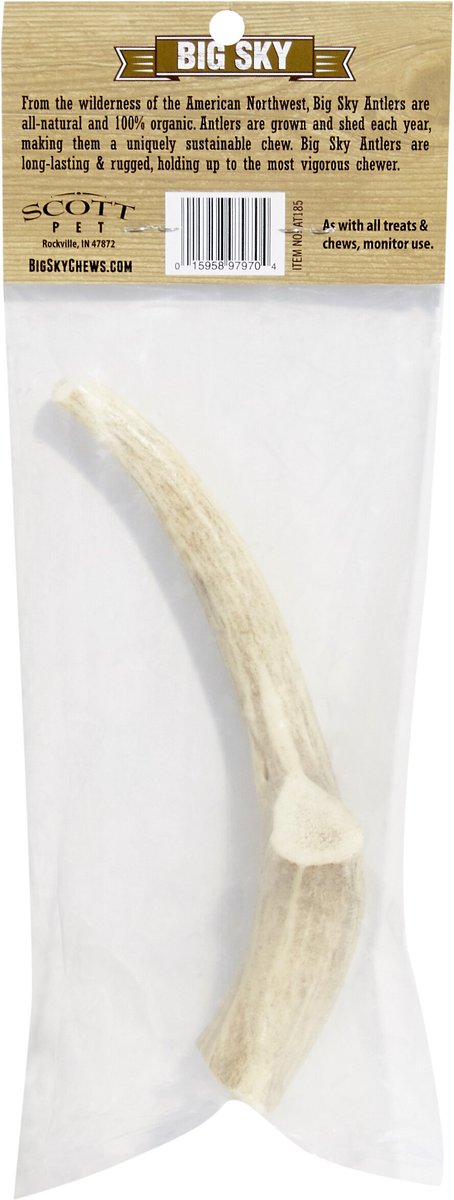 Big Sky Antler Chews Natural Elk Antler Dog Chews， Large