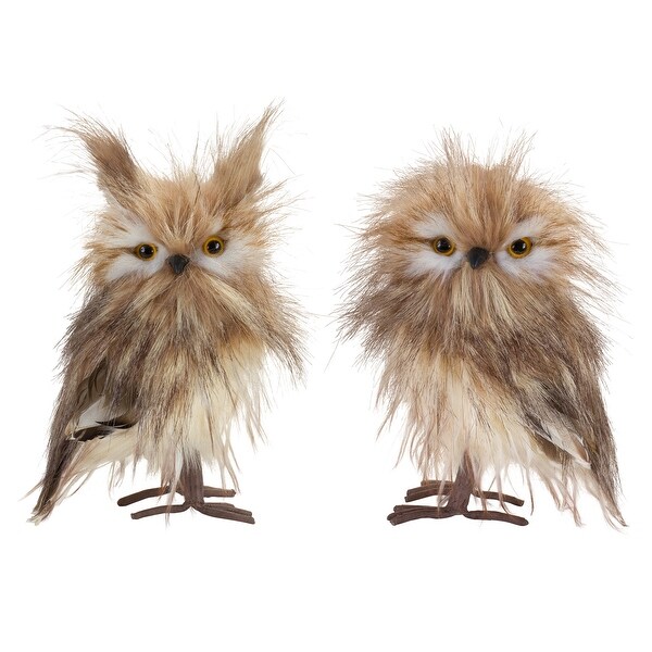 Owl Decor (Set of 4)