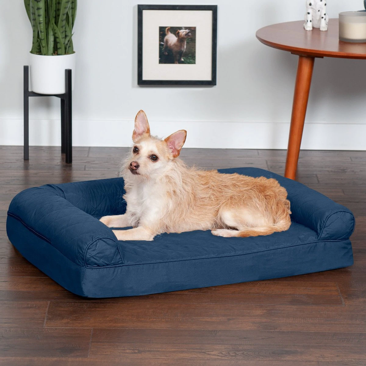 FurHaven Quilted Orthopedic Sofa Cat and Dog Bed w/ Removable Cover， Navy， Medium