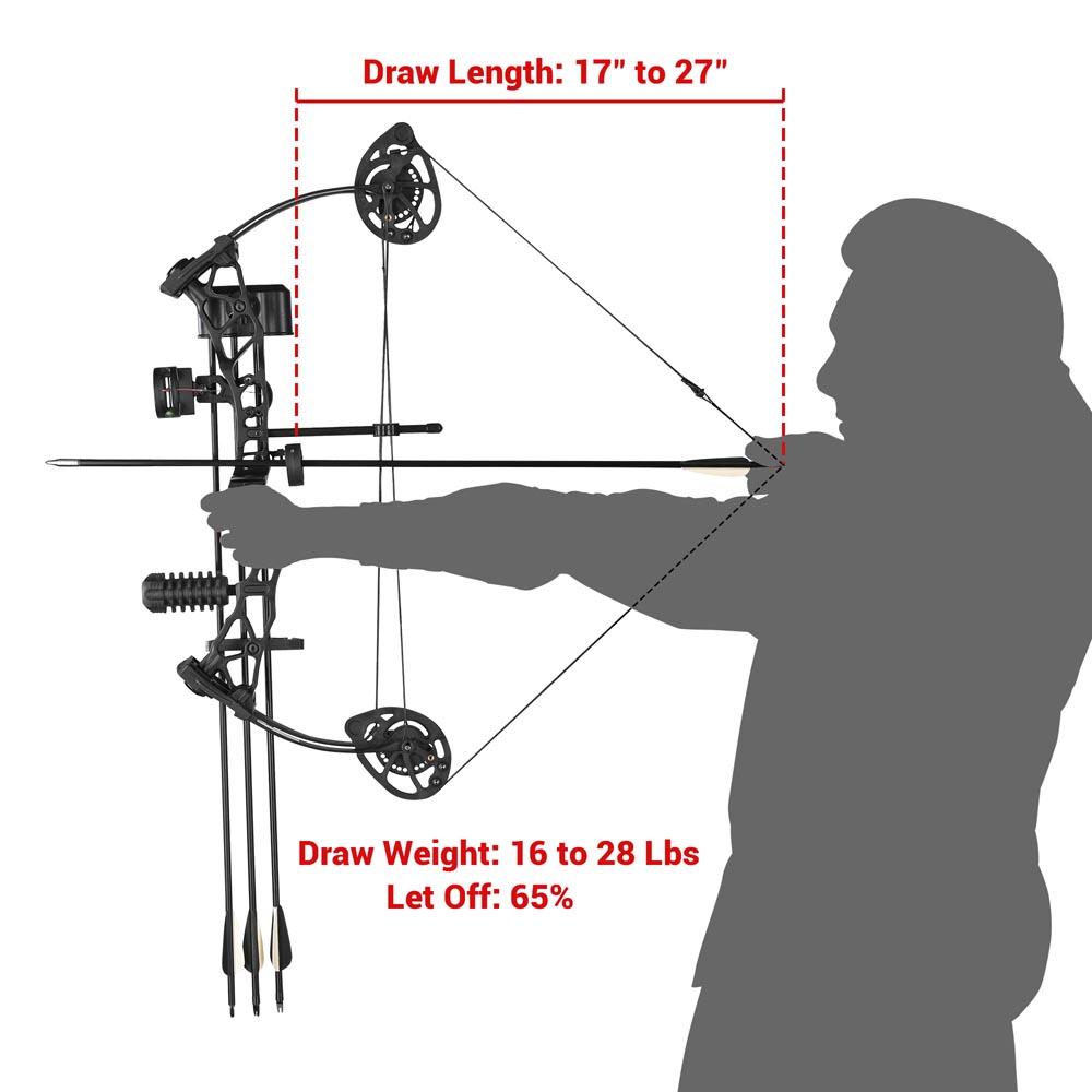 Yescom Compound Bow Kit Youth Archery Bow and 6 Carbon Arrows