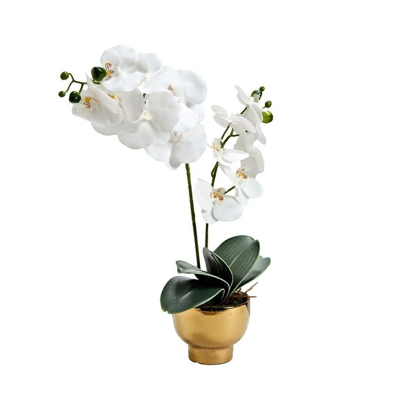 White Orchids in Gold Pot