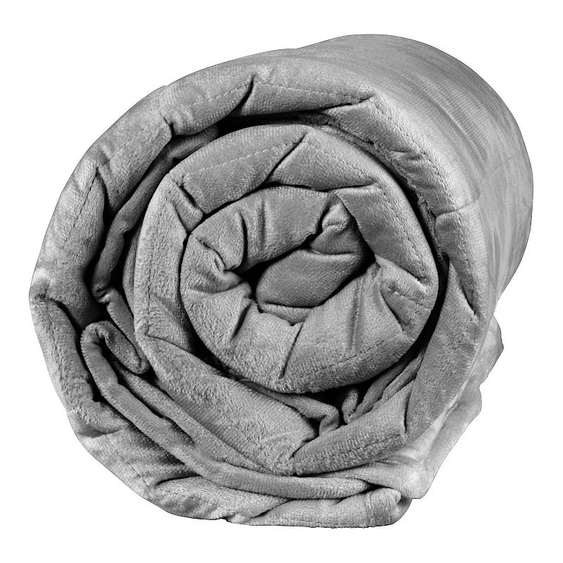 Sealy Weighted Blanket with Plush Removable Cover