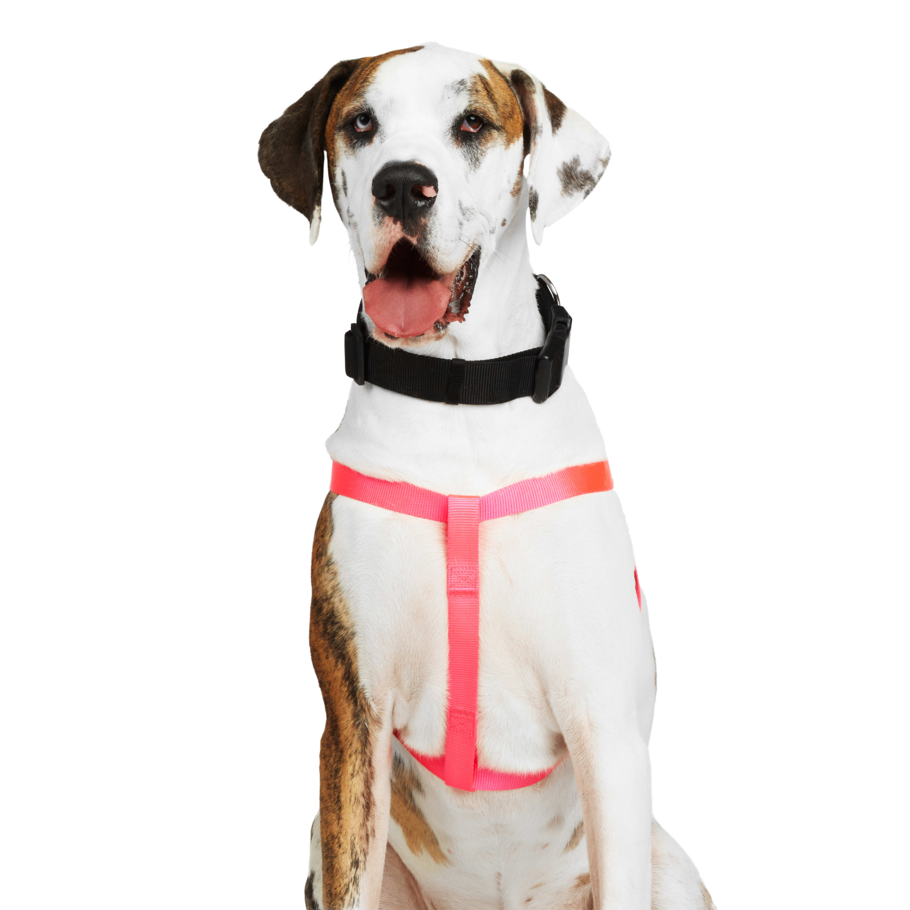 YOULY WEBB Pink Dog Harness， Small