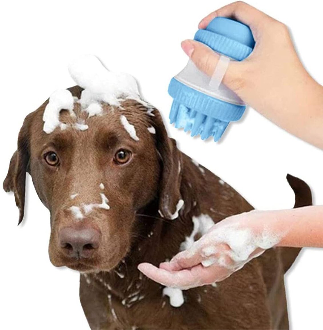 HandH Pets Bath Brush and Soap Dispenser