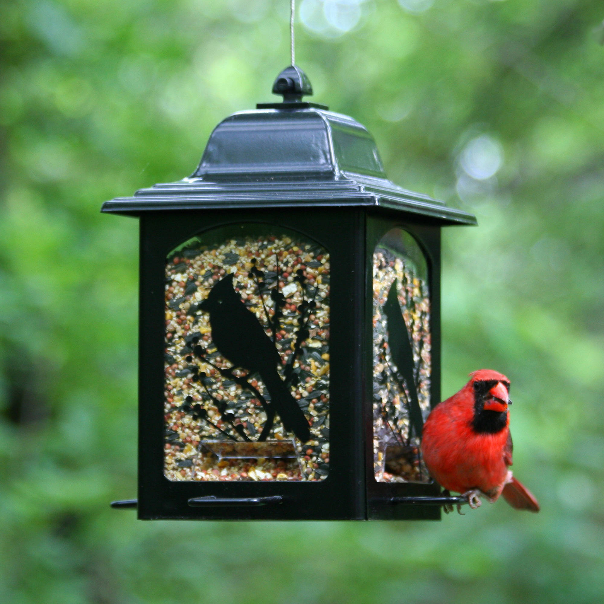 Perky-Pet Birds and Berries Lantern Feeder