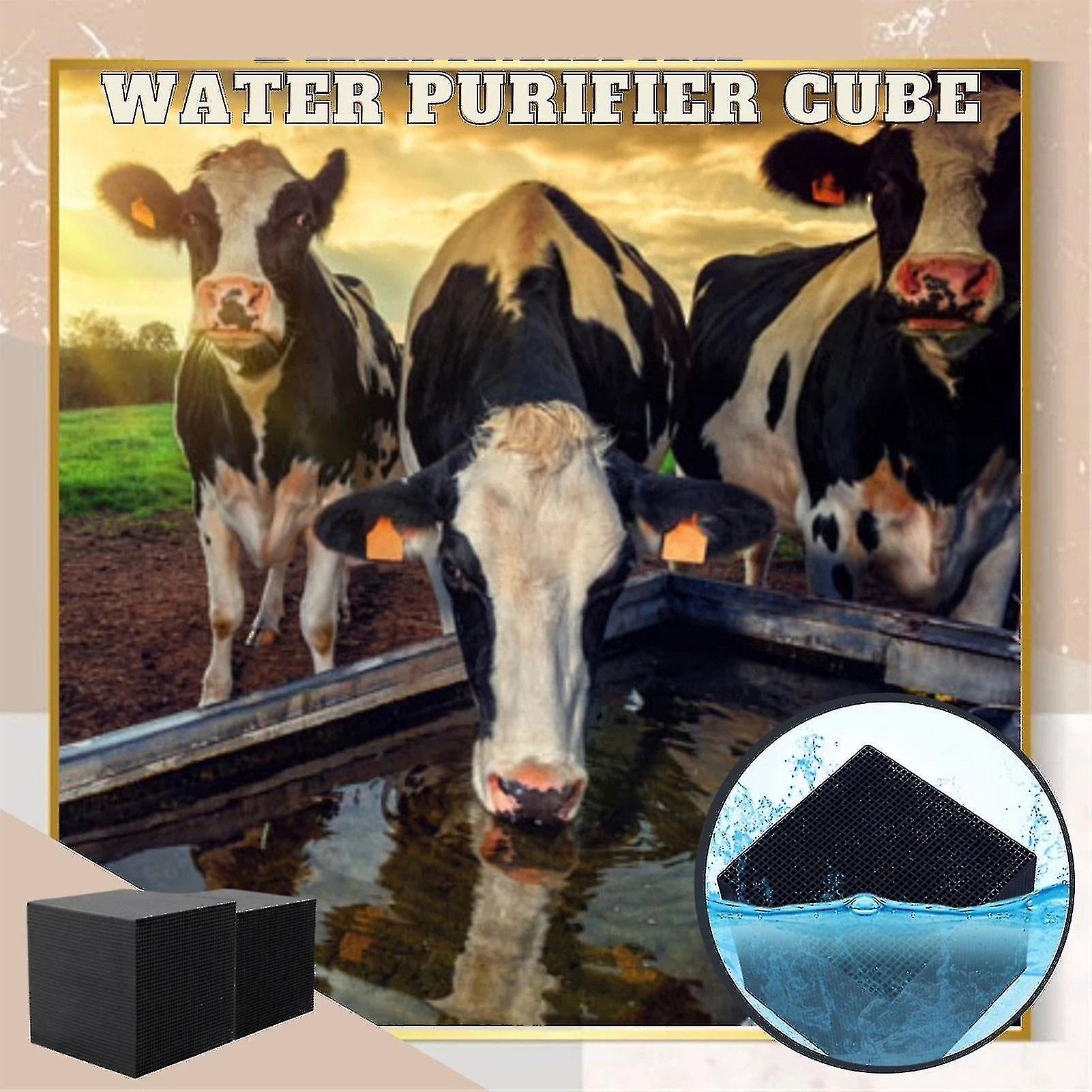 Water Purifier Cubes Activate Carbon High-efficiency Water Purification Filter For