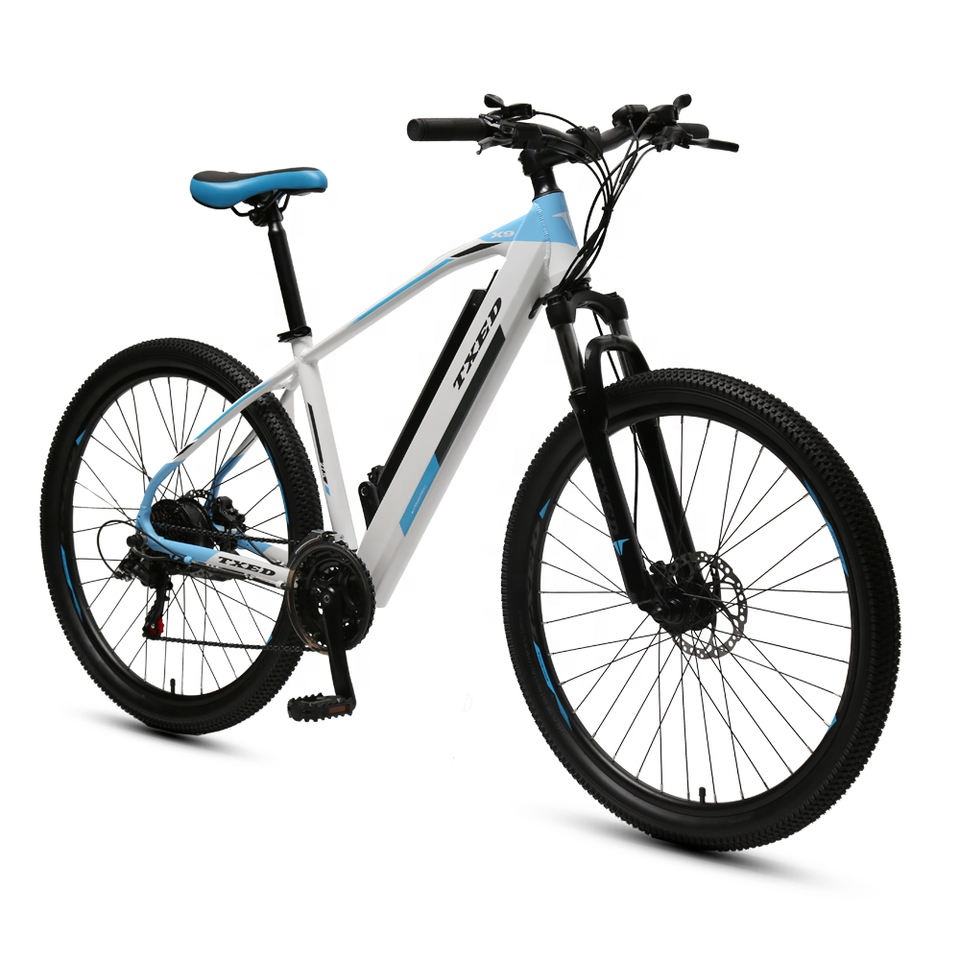 TXED Rear hub motor electric mountain ebike