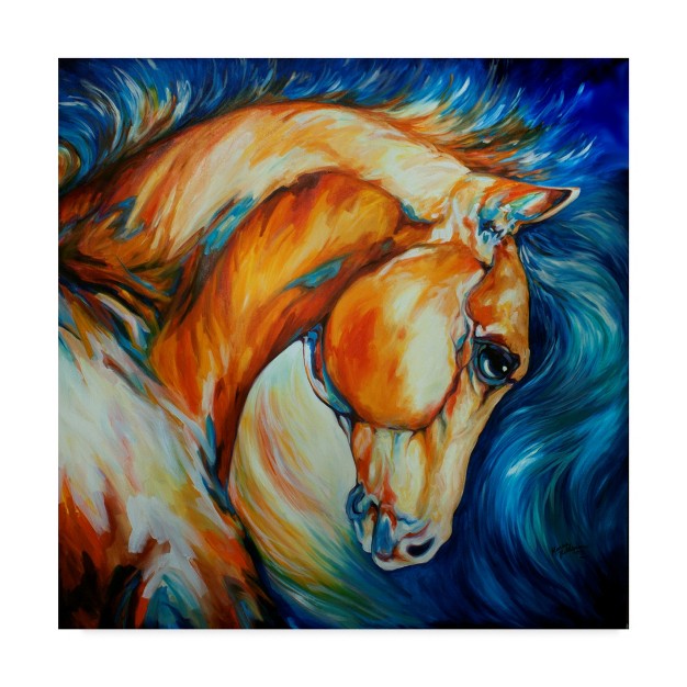 Trademark Fine Art marcia Baldwin x27 stallion x27 Canvas Art