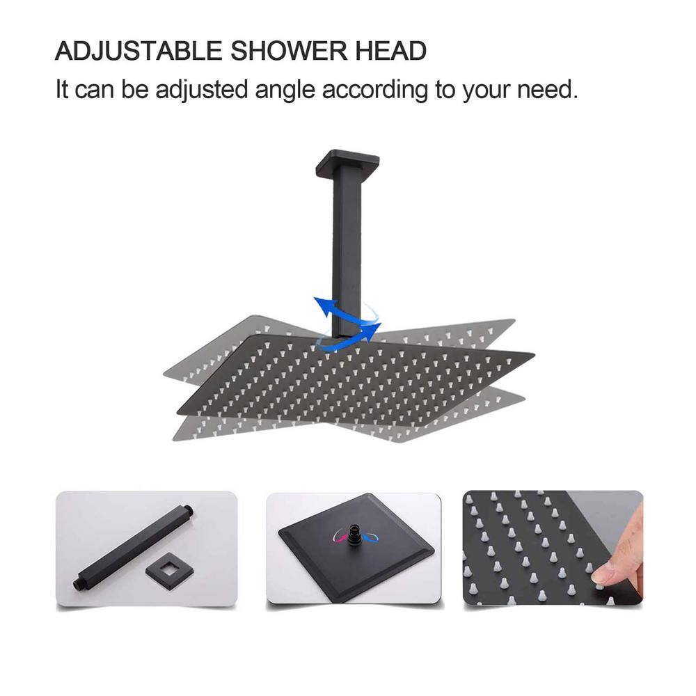 GIVING TREE 2-Spray Patterns with 2.0 GPM 12 in. Rain Shower Head Ceiling Mount Dual Shower Heads in Matte Black XLHDDTSH0014