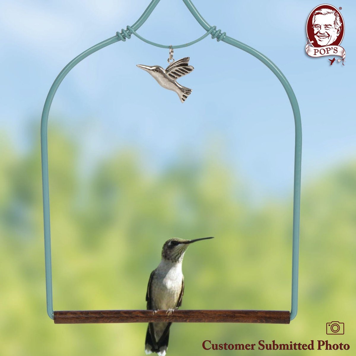 Pop's Birding Company The Original Hummingbird Swing Charmed Bird Swing