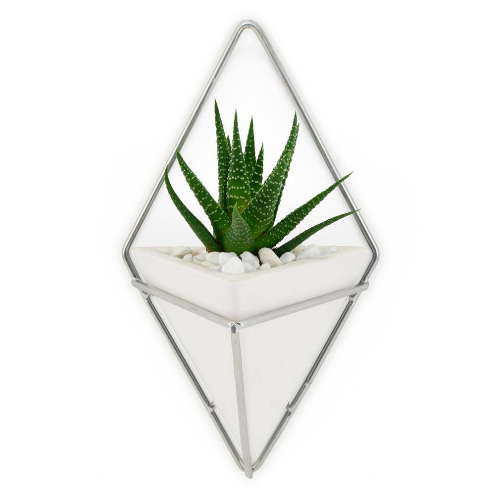 Arcadia Garden Products Diamond 6 in. x 10 in. White Matte Ceramic Wall Planter WP35W