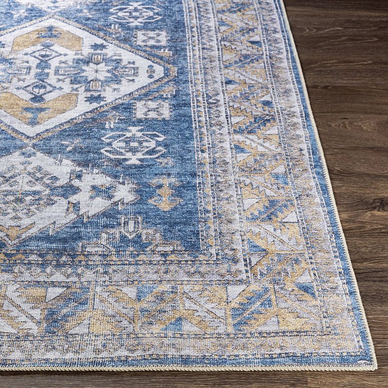 Langedijk Traditional Washable Area Rug