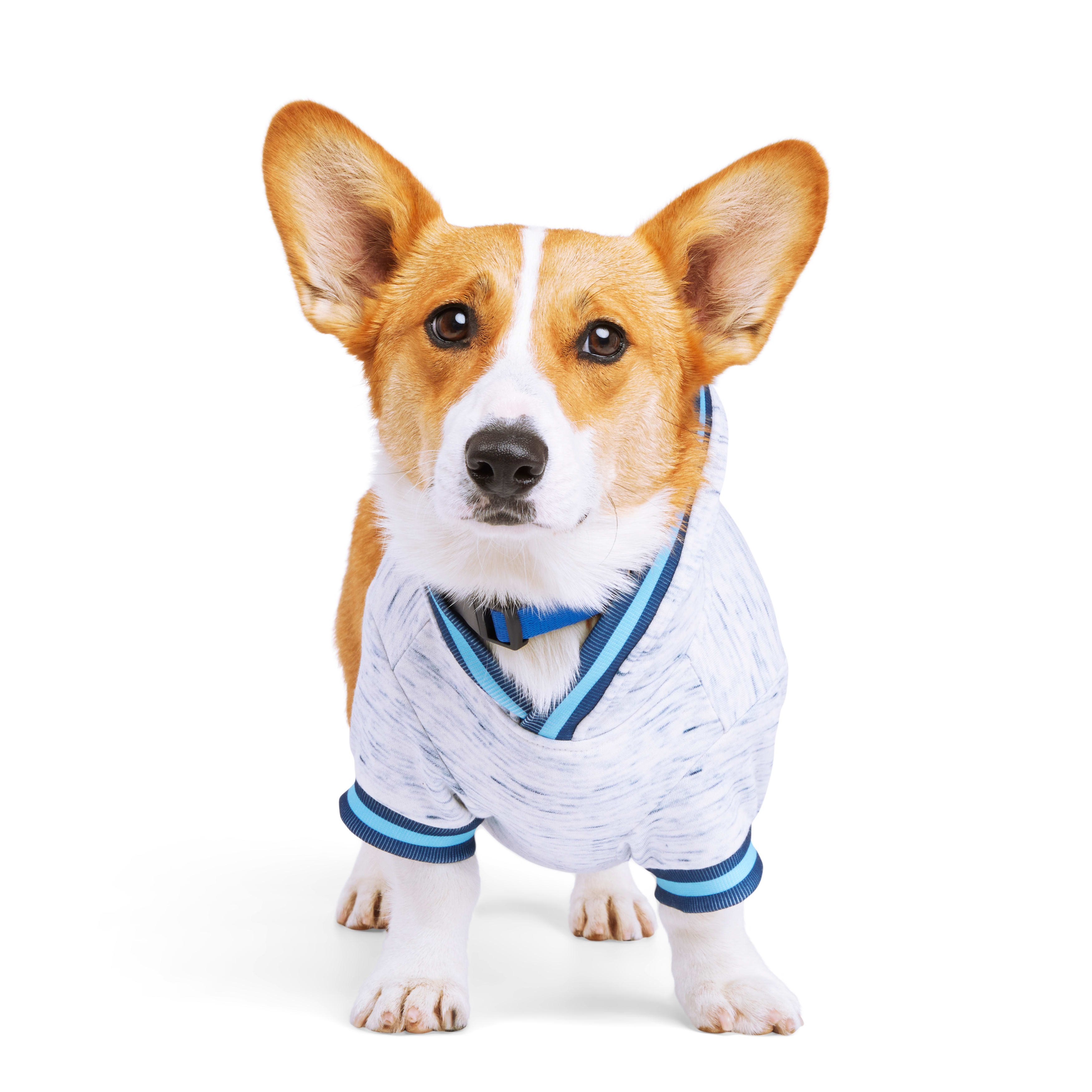 YOULY Blue Spacedye Dog Hoodie， X-Small