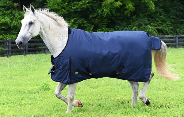 Gatsby 600D Waterproof Ripstop Turnout HW Horse Blanket