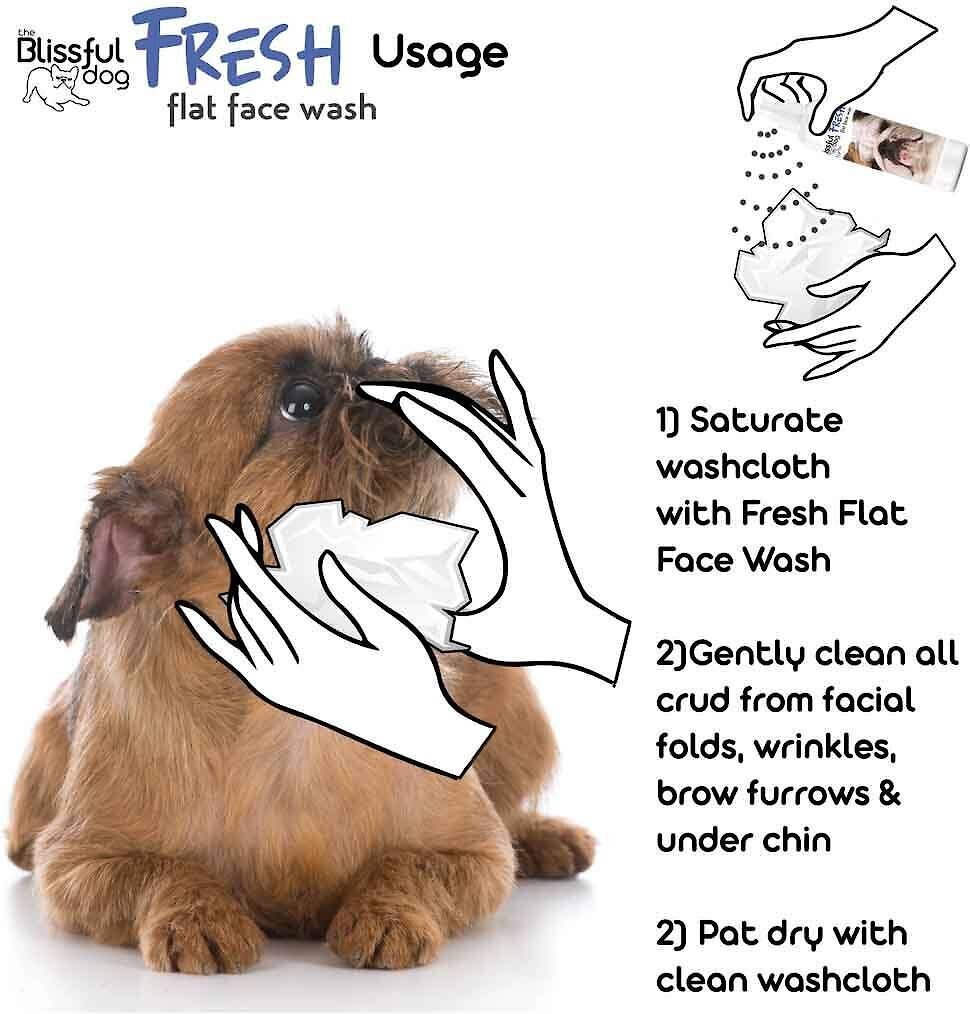 The Blissful Dog Fresh Flat Dog Face Wash， 8-oz bottle