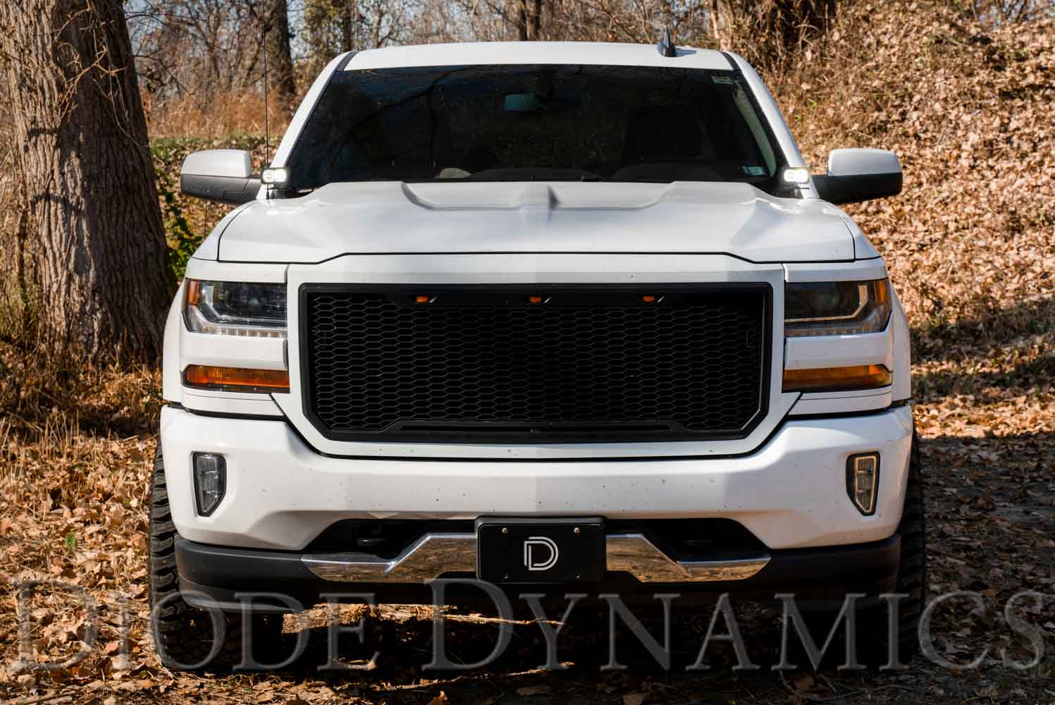 Diode Dynamics 2014-2018 Fits Chevrolet Silverado 1500 Fits GMC Sierra 1500 2019 Silverado 1500 LD Sierra 1500 Limited SSC2 Pro White Combo LED Ditch Light Kit DD6661