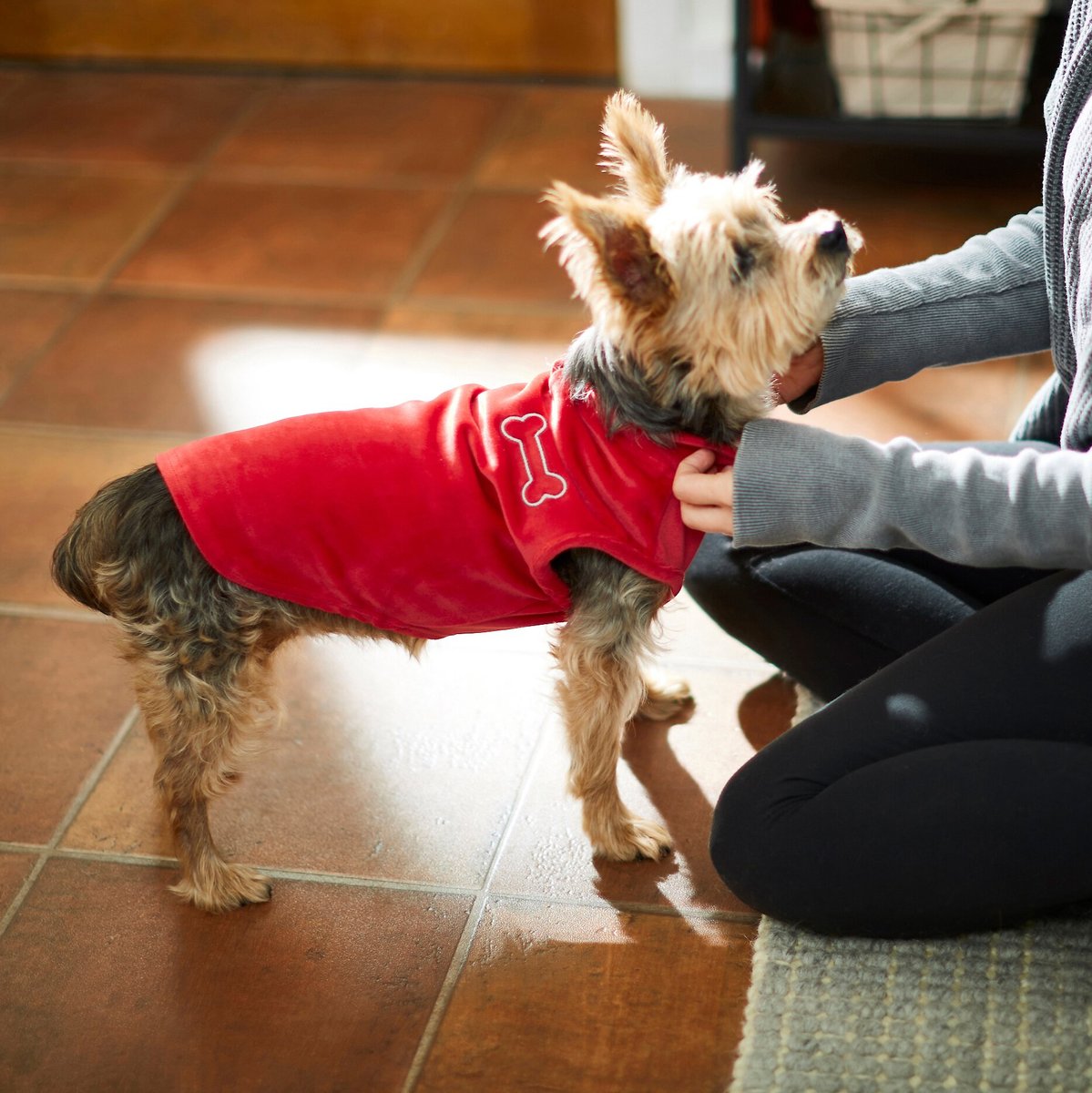 Frisco Stretchy Dog and Cat Fleece Vest