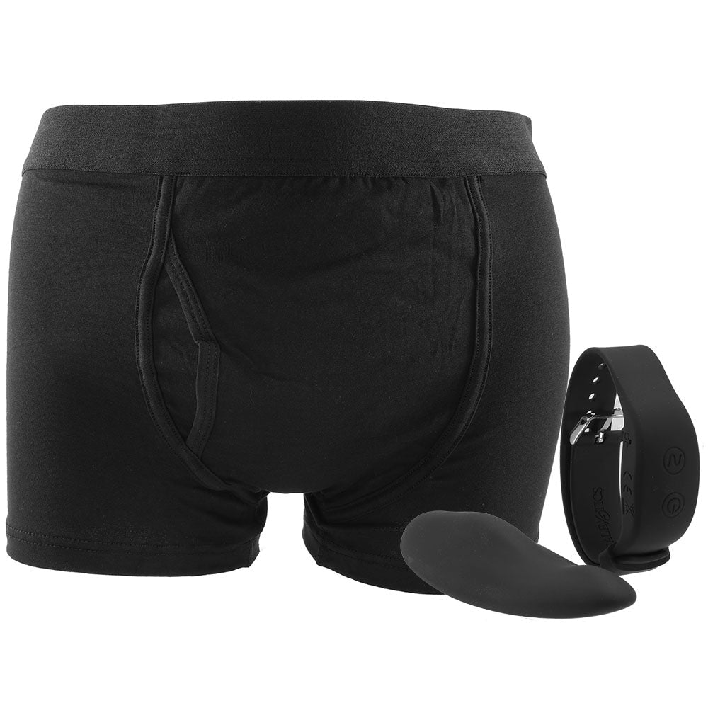 Remote Control Boxer Brief & Vibe Set in L/XL