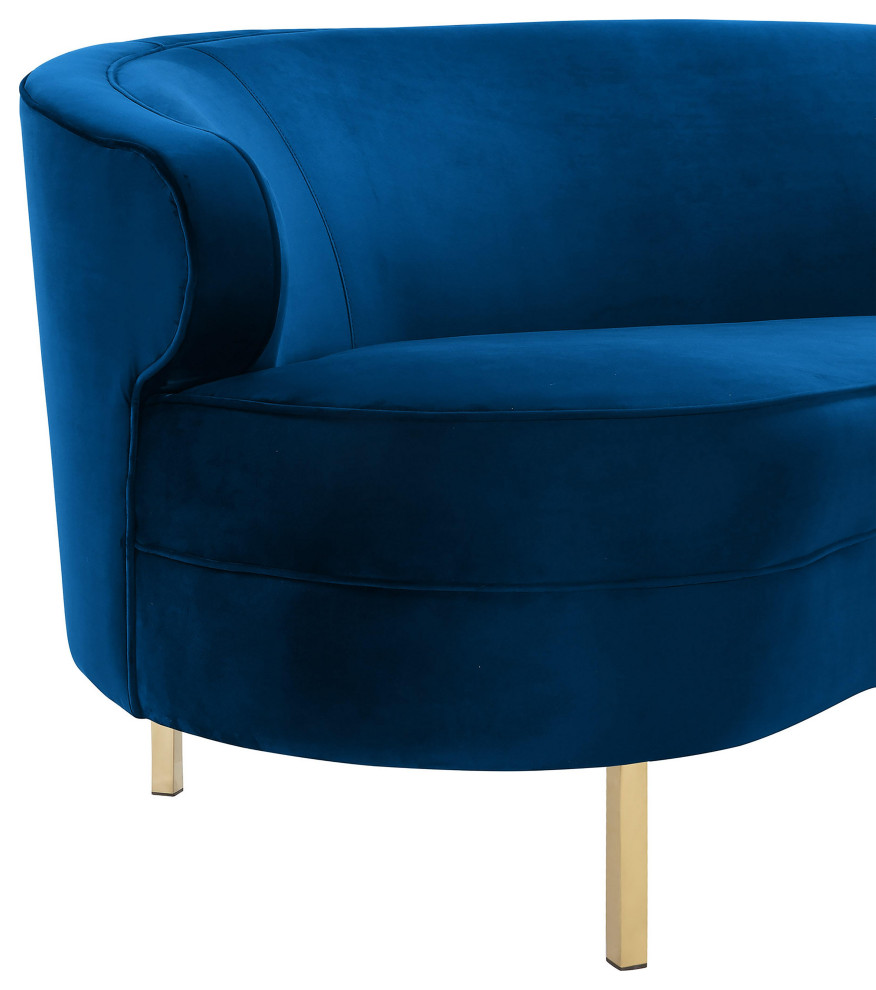 Baila Velvet Sofa   Contemporary   Sofas   by TOV Furniture  Houzz