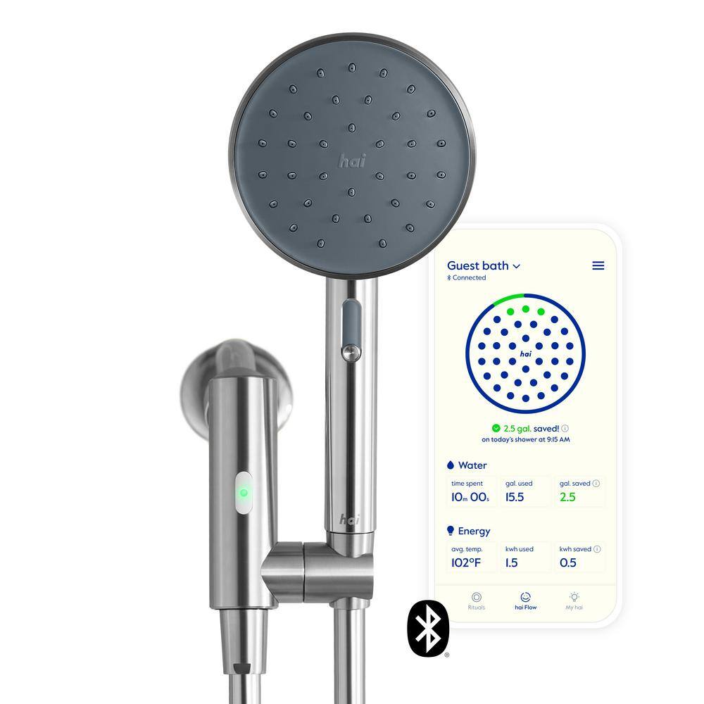 HAI Smart 2-Spray Wall Mount Handheld Shower Head 2.5 GPM in Charcoal HSBTHI2