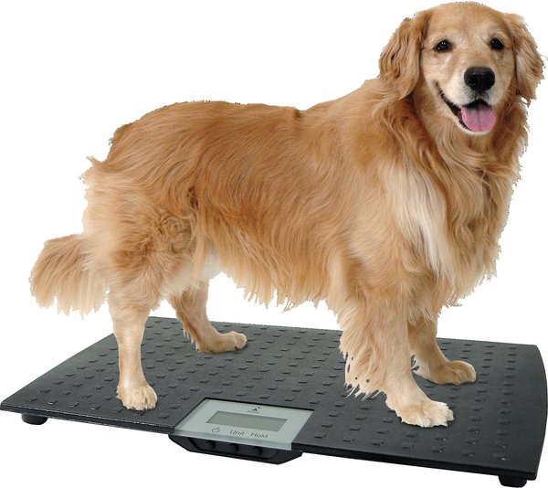 Redmon Precision Digital Pet Scale