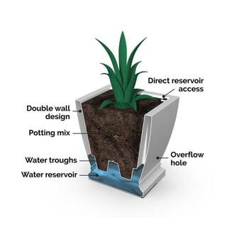 Mayne Acadia 20 in. Square Self-Watering Black Polyethylene Planter 5920-B