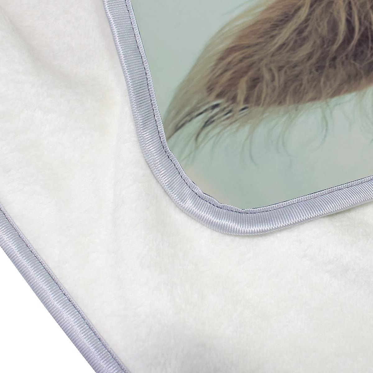 Velvet Plush Throw Thermal Blanket 5 X 7.5 Ft Dog Stained His Nose Flannel Fleece Blanket For Men Women Couch Bed Sofa Car