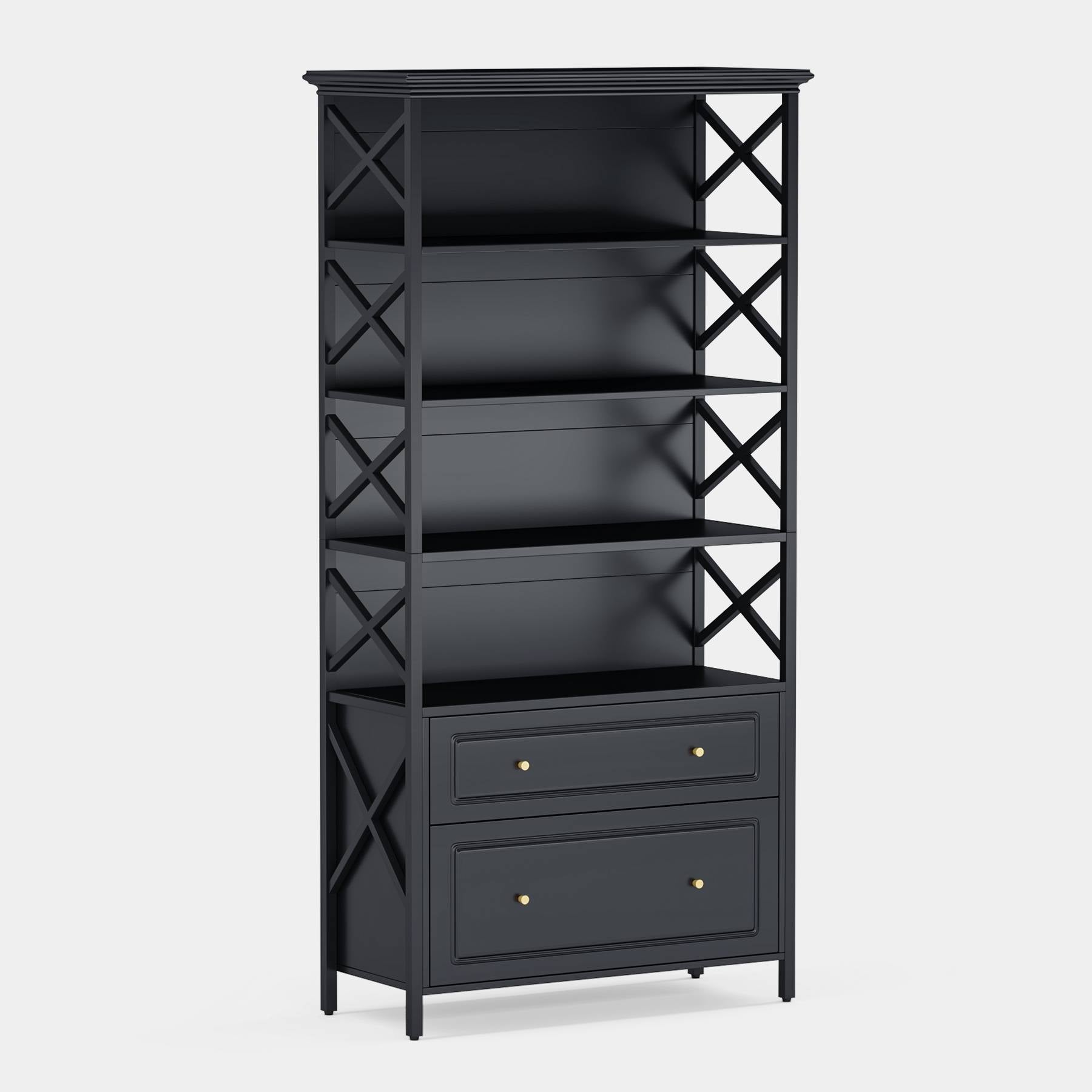 2-Drawer File Cabinet, Vertical Filling Cabinet with Storage Shelves