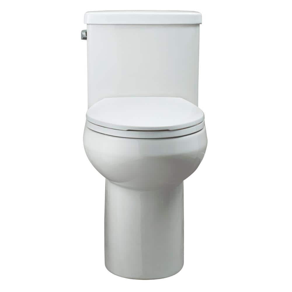 Foremost 1Piece 128 GPF Single Flush Elongated Toilet FM trim in White with Slow Close Toilet Seat Included