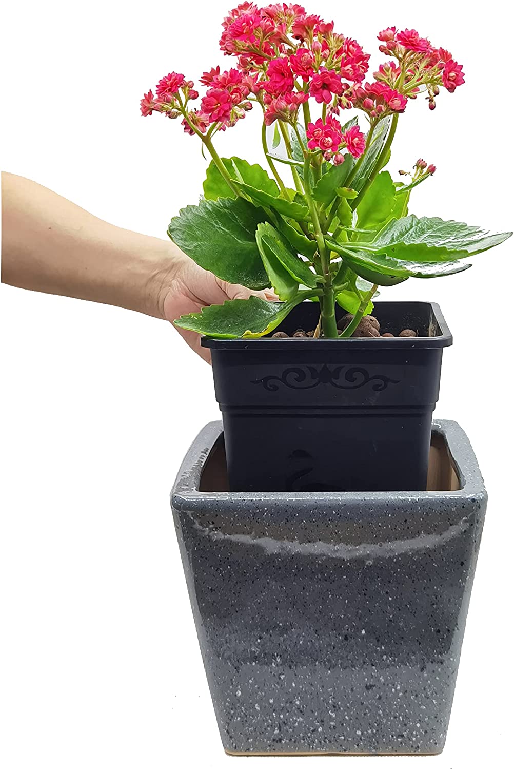 Cotta Planters 1 Gallon Square Nursery Pots 50-Pack 5.5 inch Wholesale Black Plastic Planters Greenhouse accessories