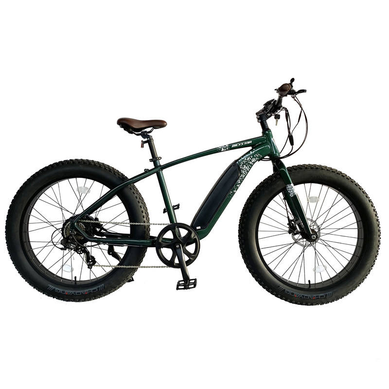 High Powerful 48V Lithium Battery and 500W 750W 1000W Mid Drive Motor Fat Tire Mountain Electric Bike