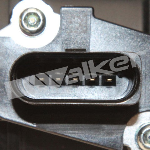 Walker 245-1281