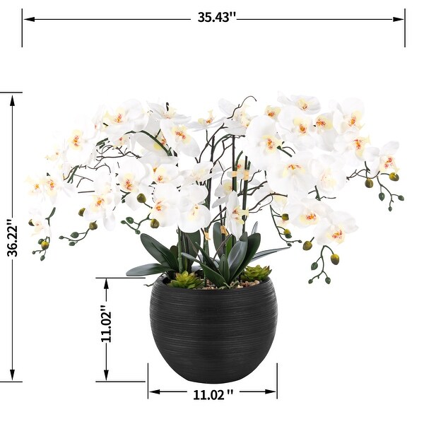 9 Stems Nearly Natural White Phalaenopsis Orchids with Succulents in White Magnesium Oxide Pot