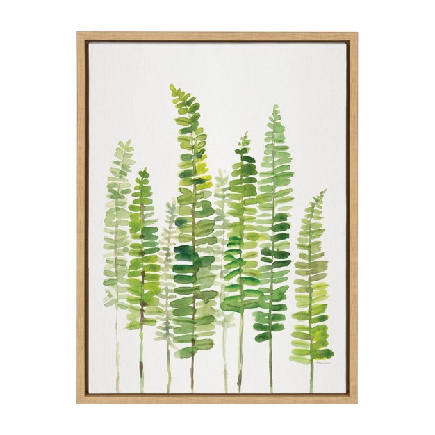 X 24 quot Sylvie Sword Ferns By Patricia Shaw Framed Wall Canvas Natural Kate amp Laurel All Things Decor