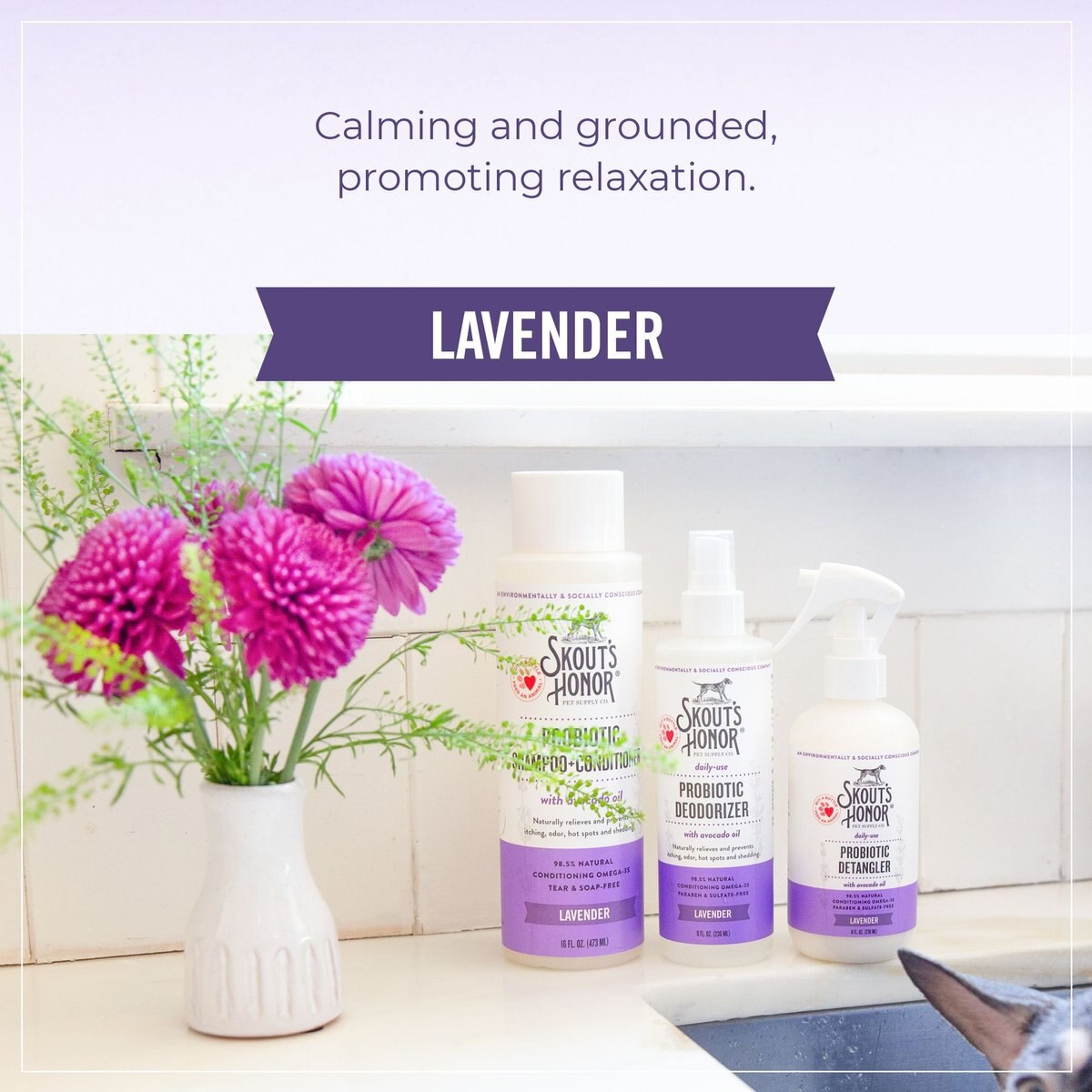 Skout's Honor Probiotic Lavender Pet Shampoo and Conditioner