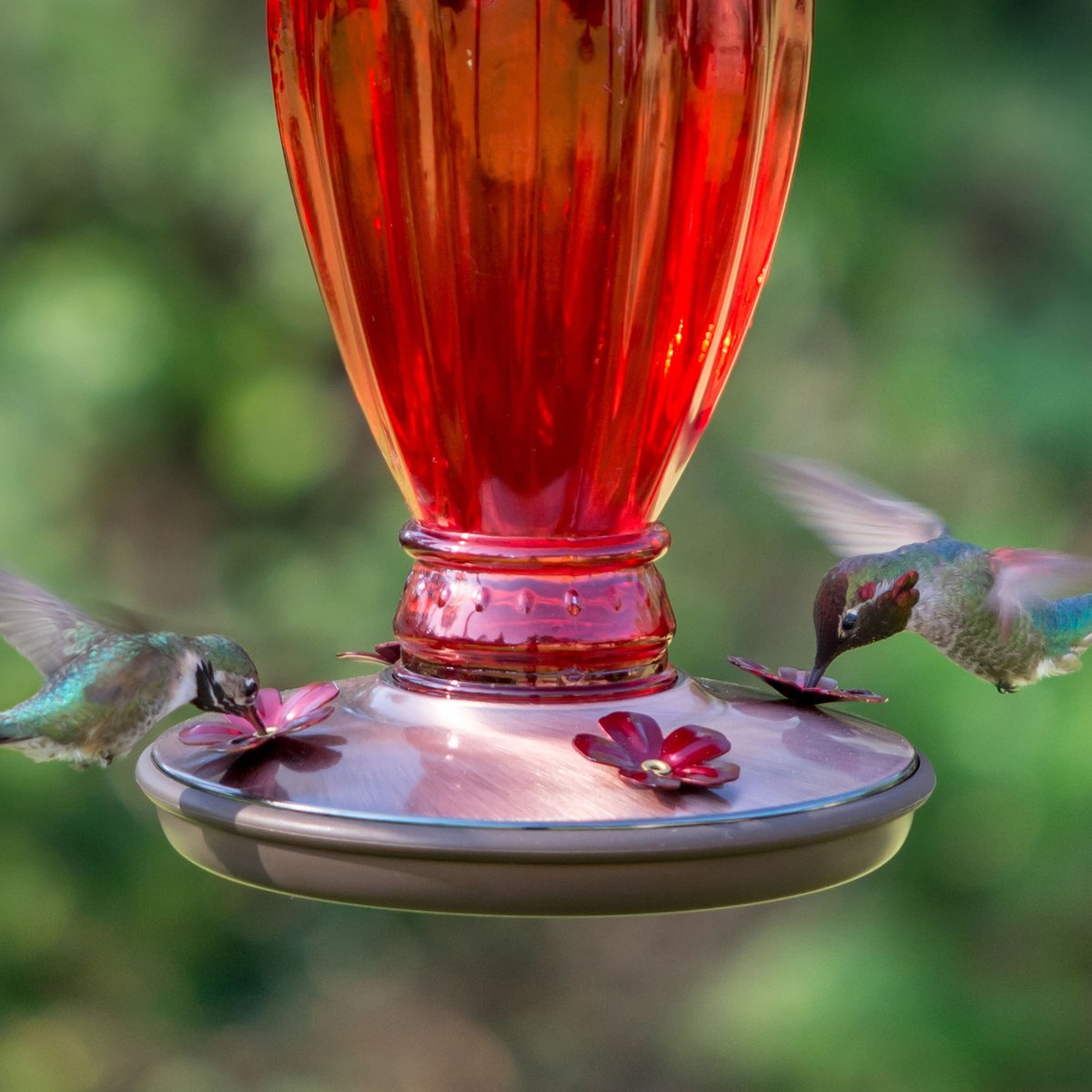 Perky-Pet Daisy Vase Vintage Glass Hummingbird Feeder